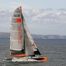 Orange-II-au-Cap-Lizard